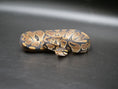 Load image into Gallery viewer, 75% Volta Ball Python- Males
