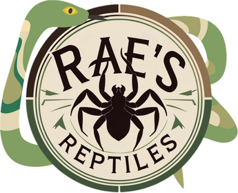 logo-banner-2