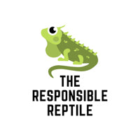 logo-banner-1