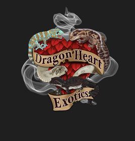 logo-banner-4